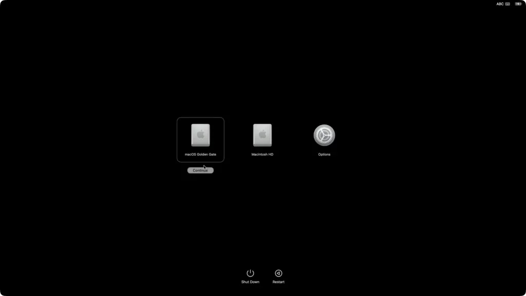 Install macOS Golden Gate on the new APFS volume